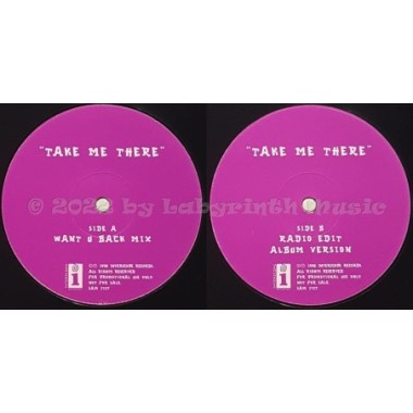 Blackstreet & Mya Feat. Mase & Blinky Blink - Take Me There • 12" Vinyl Maxi • EX - Labyrinth Music
