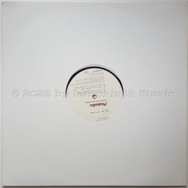 Blue Nature Presents Natalie - I Won't Let You Down • 12" Vinyl Maxi - Labyrinth Music
