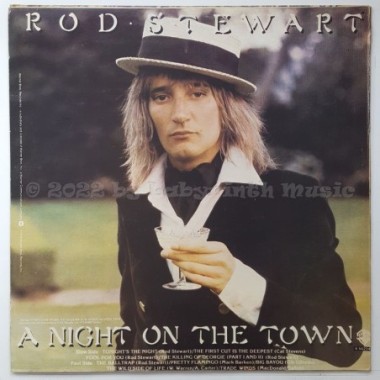 Rod Stewart - A Night On The Town • 12" Vinyl LP • EX - Labyrinth Music