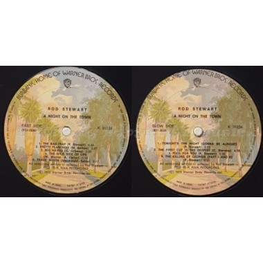 Rod Stewart - A Night On The Town • 12" Vinyl LP • EX - Labyrinth Music