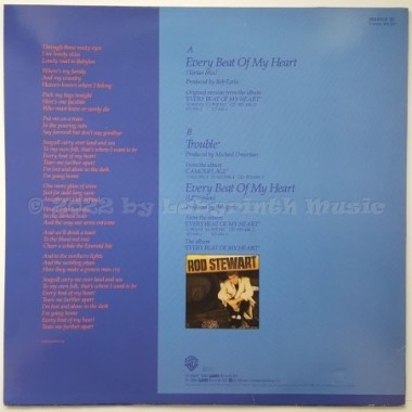 Rod Stewart - Every Beat Of My Heart • Tartan Mix • 12" Vinyl Maxi • MINT - Labyrinth Music