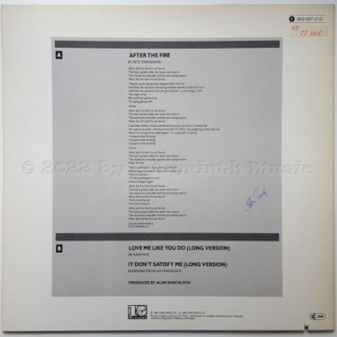 Roger Daltrey - After The Fire • 12" Vinyl Maxi • EX - Labyrinth Music