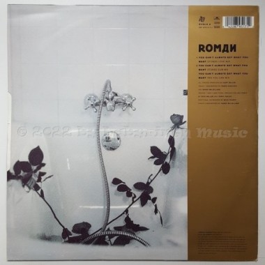 Roman - You Can't Always Get What You Want • 12" Vinyl Maxi • EX - Labyrinth Music