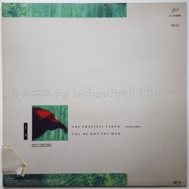 Sade - The Sweetest Taboo • 12" Vinyl Maxi - Labyrinth Music