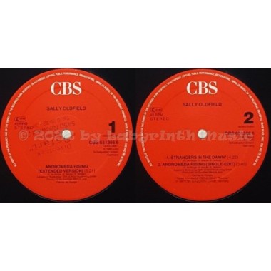 Sally Oldfield - Andromeda Rising • 12" Vinyl Maxi • EX - Labyrinth Music