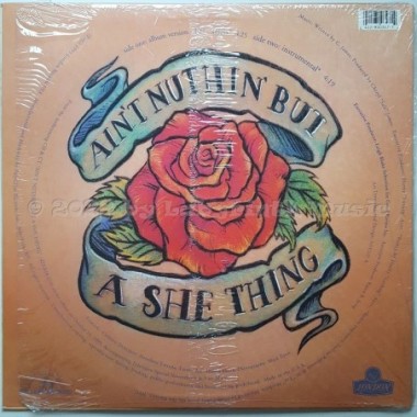 Salt 'n' Pepa - Ain't Nuthin' But A She Thing • 12" Vinyl Maxi • MINT - Labyrinth Music