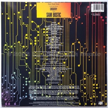 Sam Bostic - Circuitry Starring Sam Bostic • 12" Vinyl LP • EX - Labyrinth Music