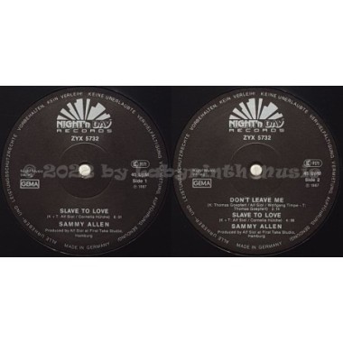 Sammy Allen - Slave To Love • 12" Vinyl Maxi • EX - Labyrinth Music