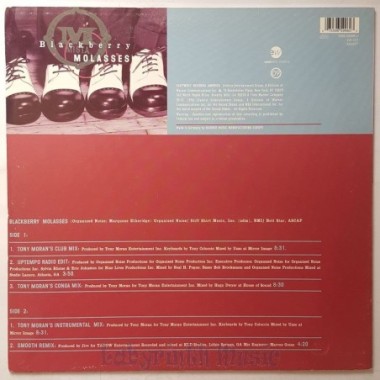 Mista - Blackberry Molasses • 12" Vinyl Maxi • NM - Labyrinth Music