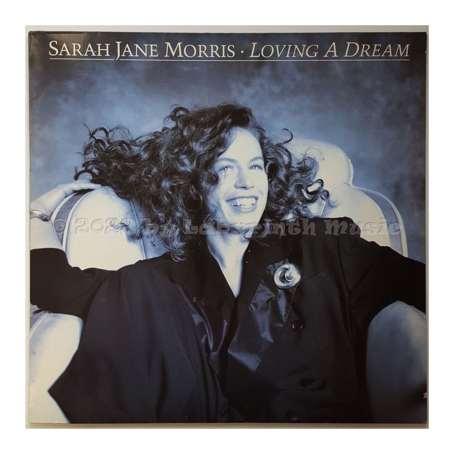 Sarah Jane Morris - Loving A Dream • 12" Vinyl Maxi • MINT - Labyrinth Music