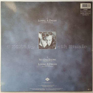 Sarah Jane Morris - Loving A Dream • 12" Vinyl Maxi • MINT - Labyrinth Music