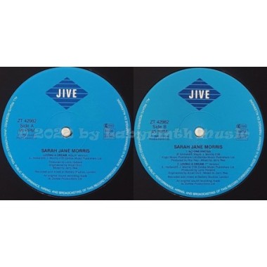 Sarah Jane Morris - Loving A Dream • 12" Vinyl Maxi • MINT - Labyrinth Music