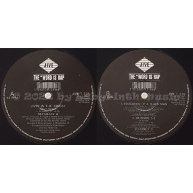 Schoolly D - Livin' In The Jungle • 12" Vinyl Maxi • MINT - Labyrinth Music