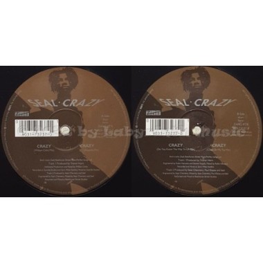Seal - Crazy • The William Orbit Remix • 12" Vinyl Maxi • NM - Labyrinth Music
