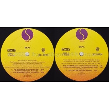 Seal - The Beginning • 12" Vinyl Maxi • EX - Labyrinth Music