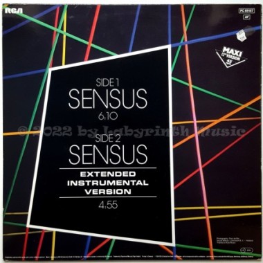 Sensus - Sensus • 12" Vinyl Maxi - Labyrinth Music