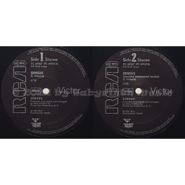 Sensus - Sensus • 12" Vinyl Maxi - Labyrinth Music