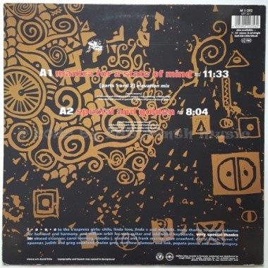S'Express - Mantra For A State Of Mind • 12" Vinyl Maxi • EX - Labyrinth Music