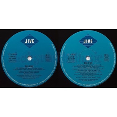 Big Fun - Hey There Lonely Girl • 12" Vinyl Maxi • EX - Labyrinth Music