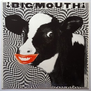 Big Mouth - Big Mouth • 12" Vinyl LP • MINT - Labyrinth Music