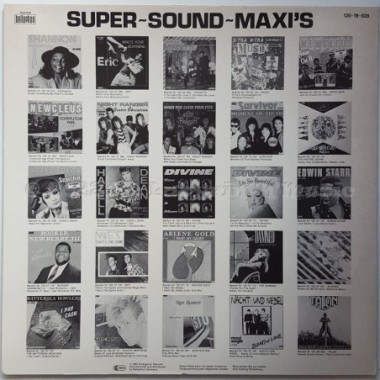 Shannon - My Heart's Divided • 12" Vinyl Maxi • EX - Labyrinth Music