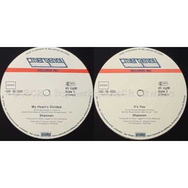 Shannon - My Heart's Divided • 12" Vinyl Maxi • EX - Labyrinth Music