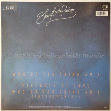 Shari Belafonte - Who Do You Think Am I • 12" Vinyl Maxi • NM - Labyrinth Music