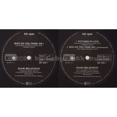 Shari Belafonte - Who Do You Think Am I • 12" Vinyl Maxi • NM - Labyrinth Music