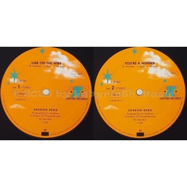 Sharon Redd - Liar On The Wire • 12" Vinyl Maxi • EX - Labyrinth Music
