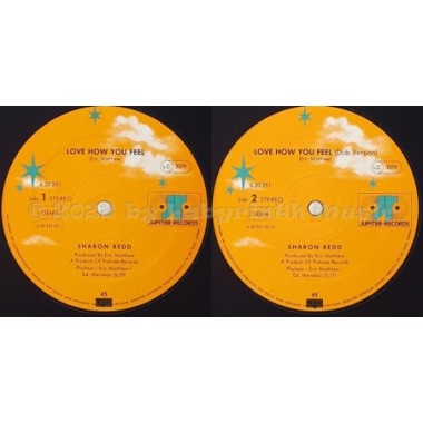 Sharon Redd - Love How You Feel • 12" Vinyl Maxi - Labyrinth Music