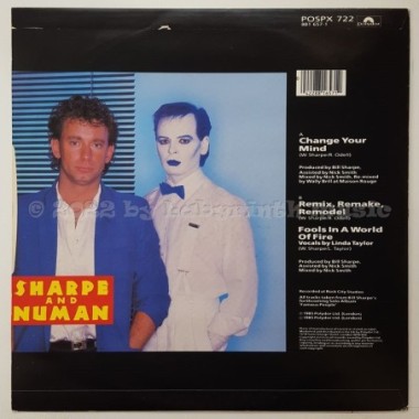 Sharpe & Numan - Change Your Mind • 12" Vinyl Maxi - Labyrinth Music