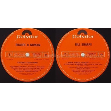 Sharpe & Numan - Change Your Mind • 12" Vinyl Maxi - Labyrinth Music
