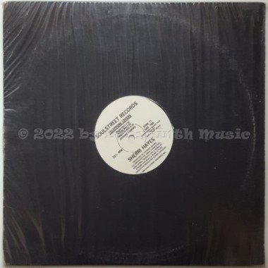 Sherri Hayes - Telephone Lovers • 12" Vinyl Maxi - Labyrinth Music