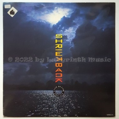 Shriekback - Fish Below The Ice • 12" Vinyl Maxi • EX - Labyrinth Music