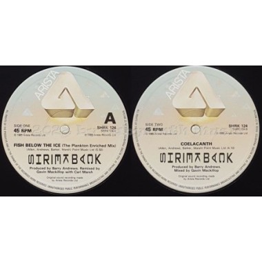 Shriekback - Fish Below The Ice • 12" Vinyl Maxi • EX - Labyrinth Music