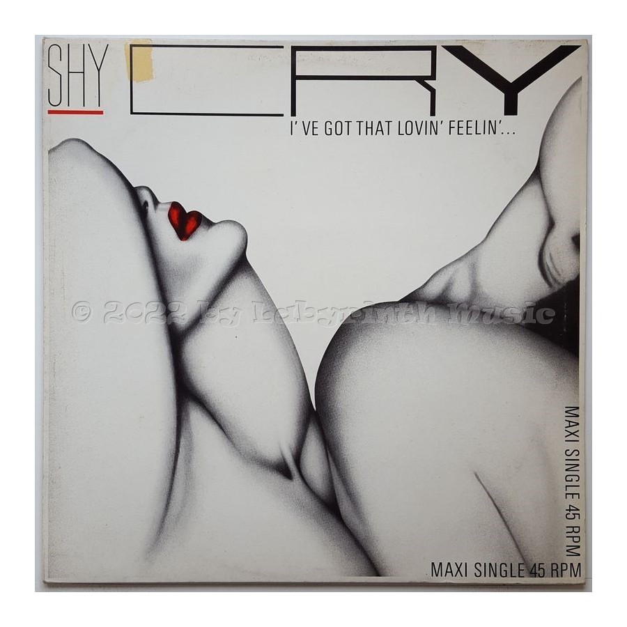 Shy Cry - I've Got That Lovin' Feeling • 12" Vinyl Maxi • EX - Labyrinth Music