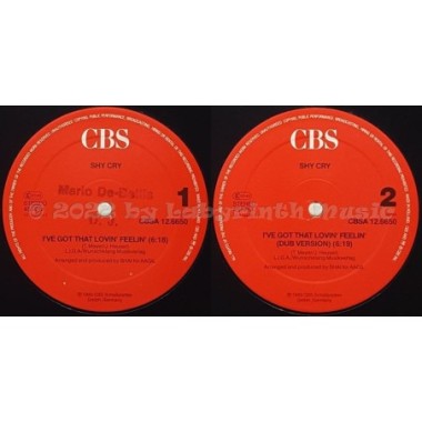 Shy Cry - I've Got That Lovin' Feeling • 12" Vinyl Maxi • EX - Labyrinth Music