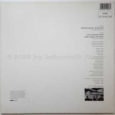 The Silencers - Painted Moon • 12" Vinyl Maxi • MINT - Labyrinth Music