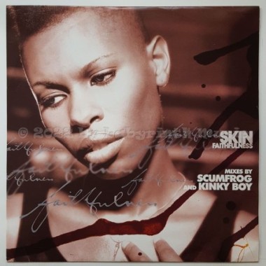 Skin - Faithfulness • 12" Vinyl Maxi • EX - Labyrinth Music