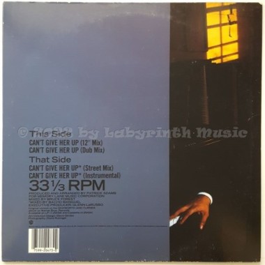 Skipworth & Turner - Can't Give Her Up • 12" Vinyl Maxi • EX - Labyrinth Music