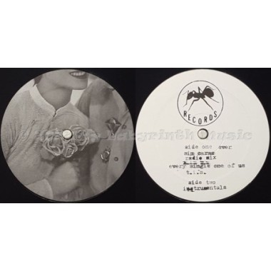 Sole - New Single • 12" Vinyl Maxi • MINT - Labyrinth Music