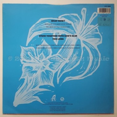 Something Happens - What Now • 12" Vinyl Maxi - Labyrinth Music