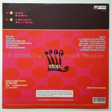 Sonic Family - Really True • 12" Vinyl Maxi • EX - Labyrinth Music