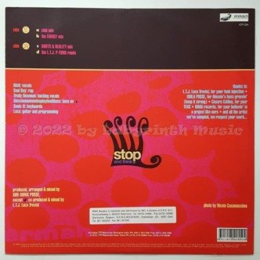 Sonic Family - Really True • 12" Vinyl Maxi • MINT - Labyrinth Music