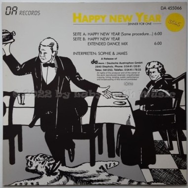 Sophie & James - Happy New Year • 12" Vinyl Maxi • EX - Labyrinth Music