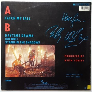 Billy Idol - Catch My Fall • 12" Vinyl Maxi • EX - Labyrinth Music