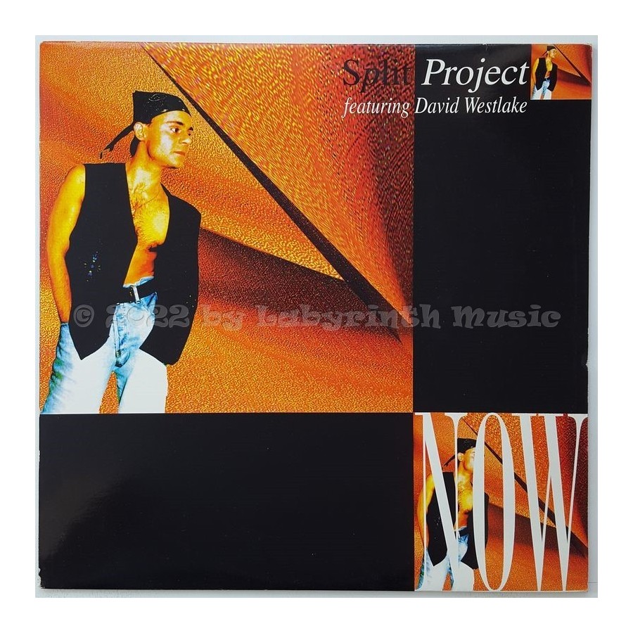 Split Project Feat. David Westlake - Now • 12" Vinyl Maxi • EX - Labyrinth Music