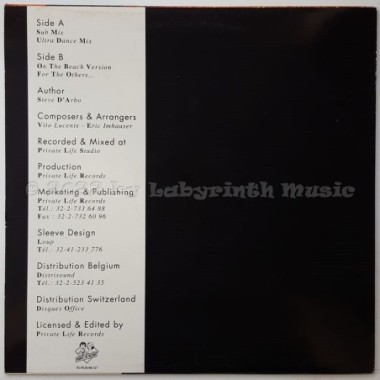 Split Project Feat. David Westlake - Now • 12" Vinyl Maxi • EX - Labyrinth Music