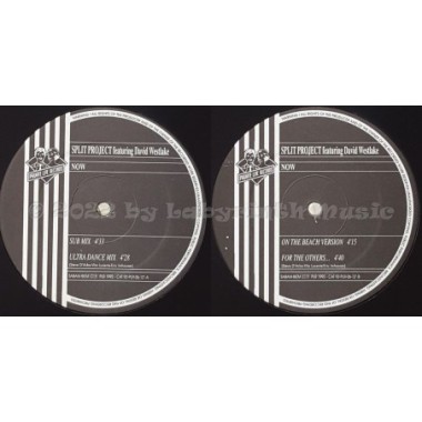 Split Project Feat. David Westlake - Now • 12" Vinyl Maxi • EX - Labyrinth Music