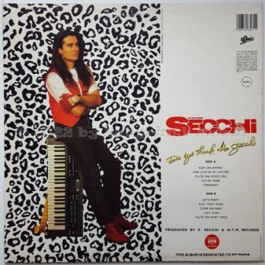 Stefano Secchi - Da Ya Think I'm Secchi • 12" Vinyl LP • EX - Labyrinth Music